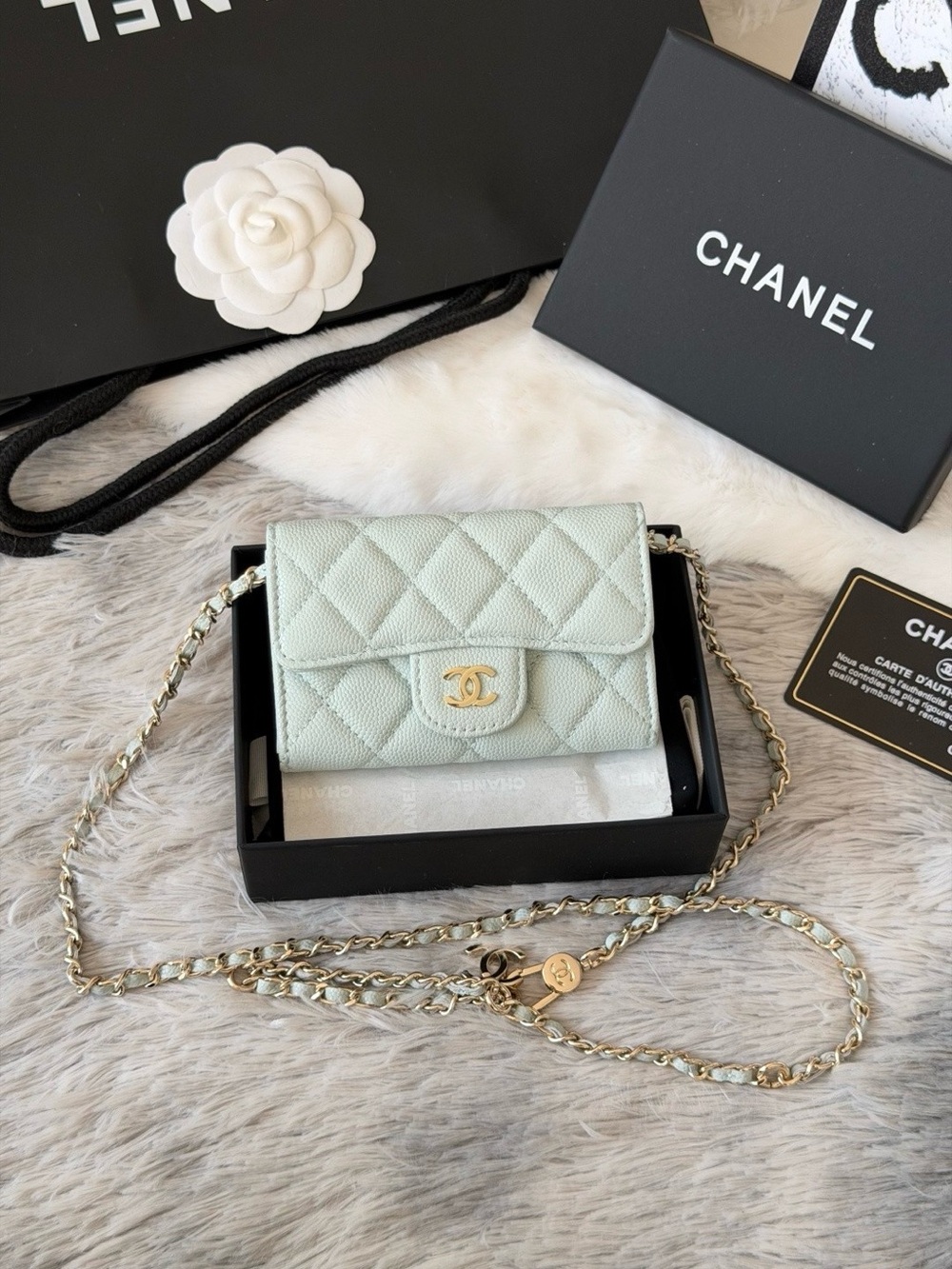 CHANEL Quilted Mini Wallet on Chain in Mint Green with Gold Hardware